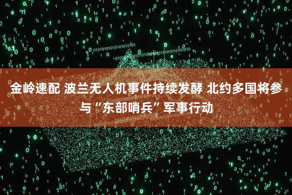 金岭速配 波兰无人机事件持续发酵 北约多国将参与“东部哨兵”军事行动