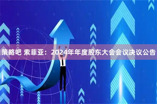 策略吧 索菲亚：2024年年度股东大会会议决议公告