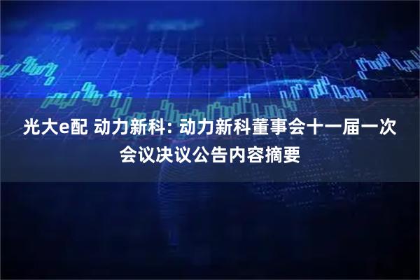 光大e配 动力新科: 动力新科董事会十一届一次会议决议公告内容摘要