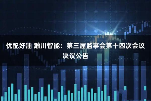 优配好油 瀚川智能：第三届监事会第十四次会议决议公告