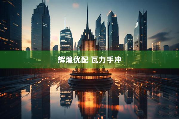 辉煌优配 瓦力手冲